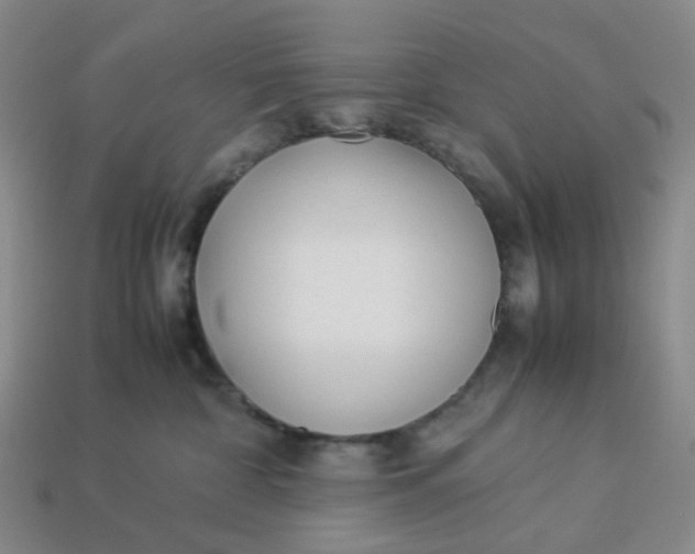 X0000113330332200910051151