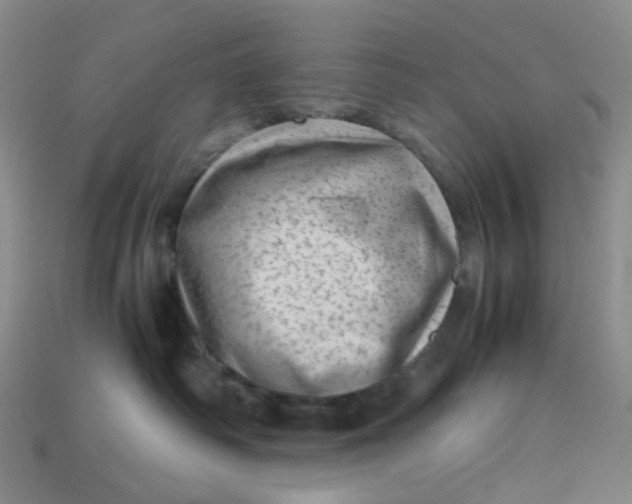 X0000113330334200910051151