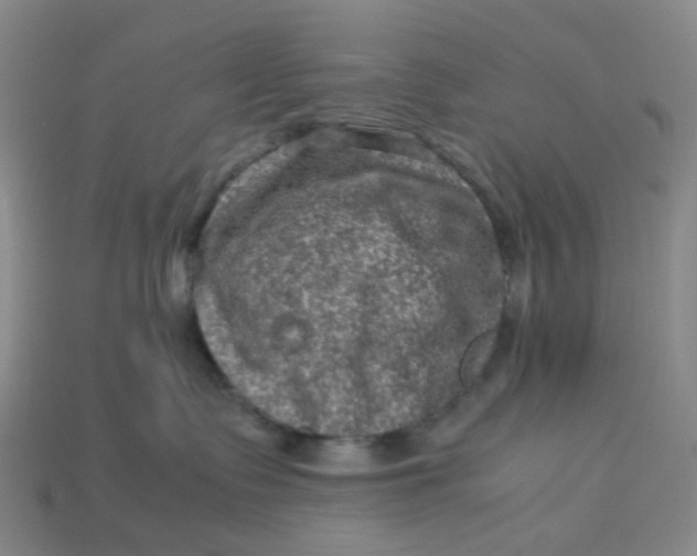 X0000113330335200910051151