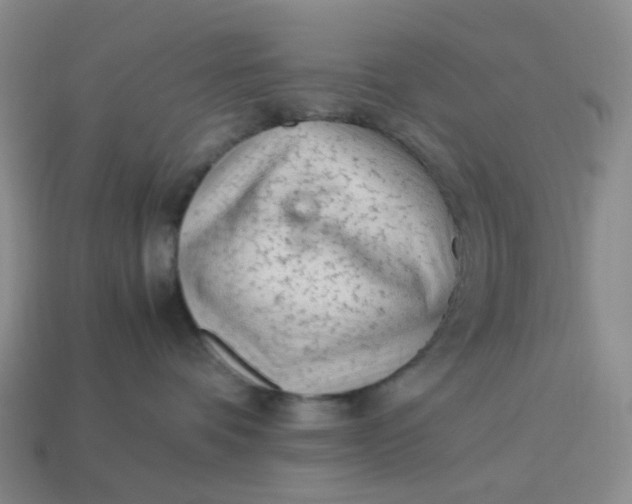 X0000113330336200910051151