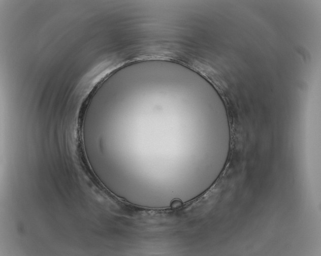 X0000113330338200910051150