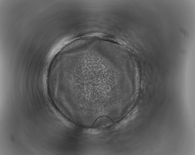X0000113330341200910051150