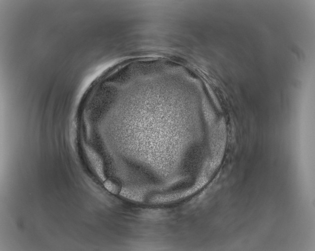 X0000113330342200910051150