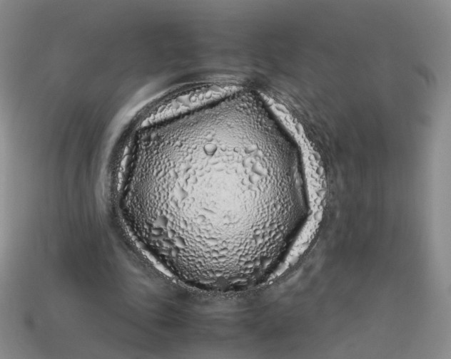 X0000113330343200910051151