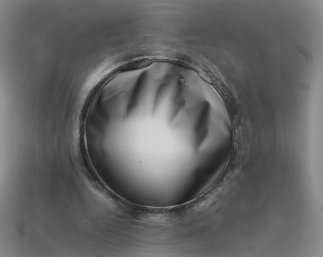 X0000113330344200910051151