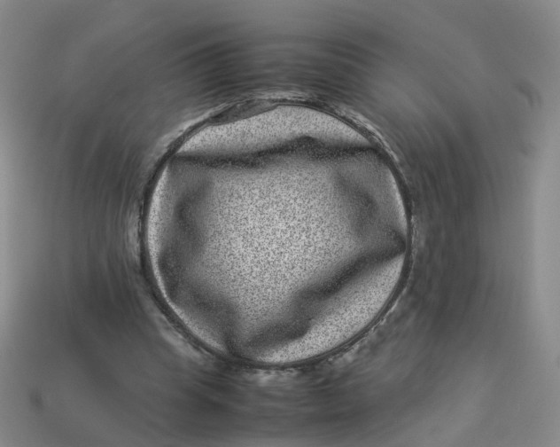 X0000113330345200910051151
