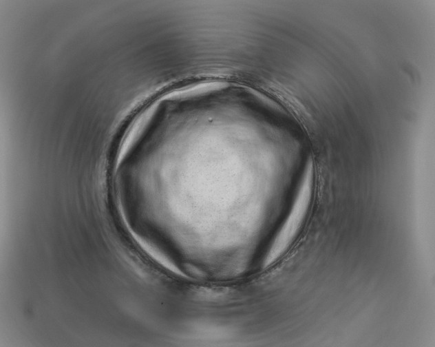 X0000113330346200910051151