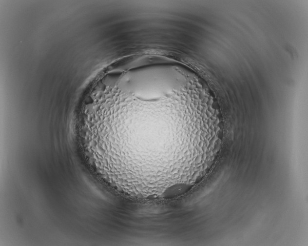 X0000113330347200910051151