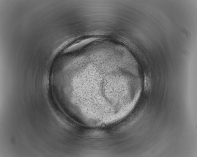 X0000113330348200910051151