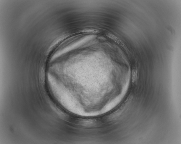 X0000113330349200910051151