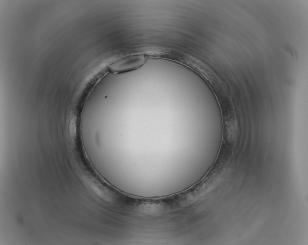 X0000113330350200910051151