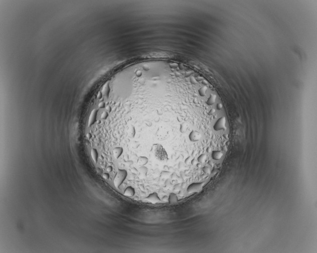 X0000113330351200910051151