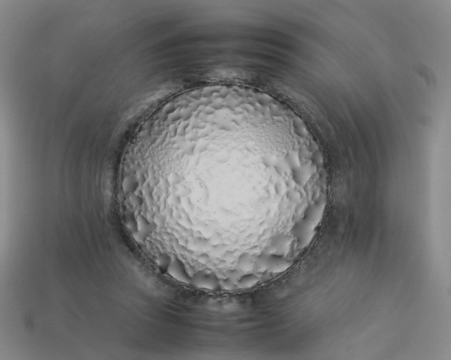 X0000113330353200910051151