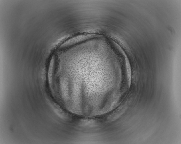 X0000113330354200910051151