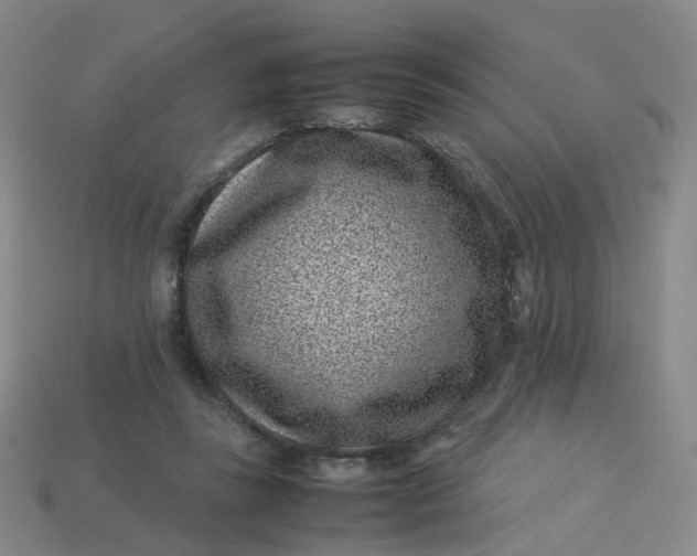 X0000113330355200910051151