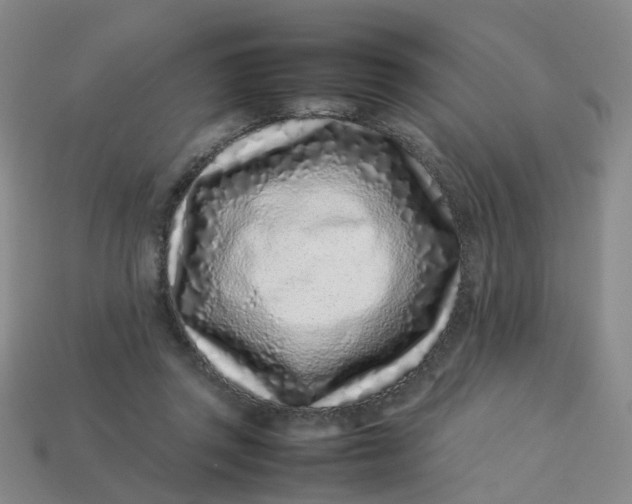 X0000113330357200910051151
