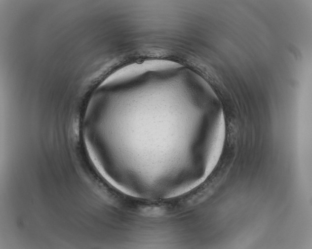 X0000113330358200910051151