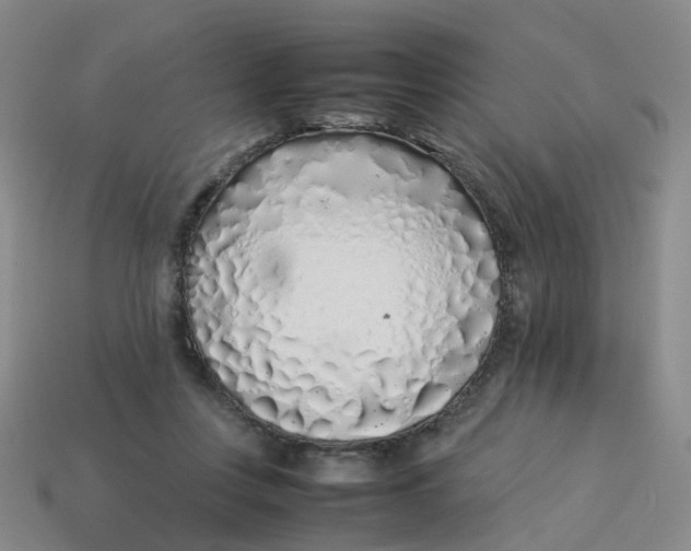 X0000113330359200910051151