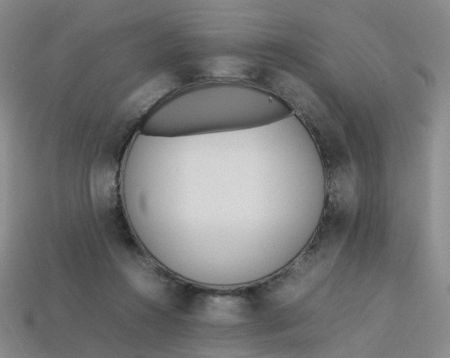 X0000113330360200910051151