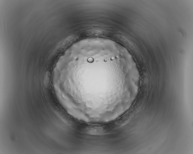 X0000113330361200910051151
