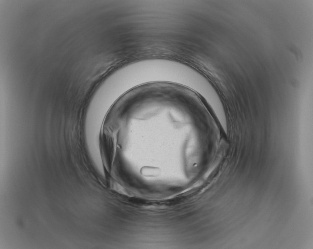 X0000113330362200910051151