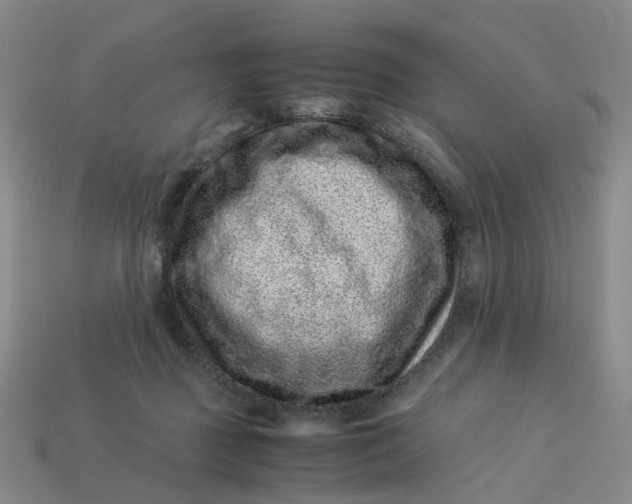 X0000113330363200910051151
