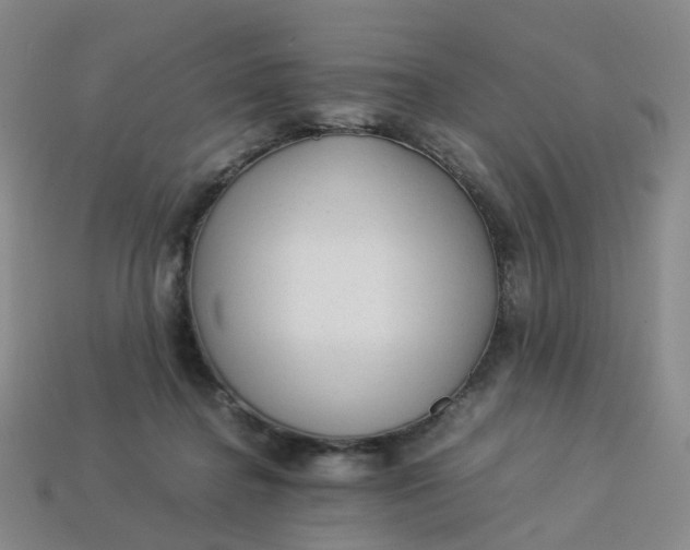 X0000113330364200910051151