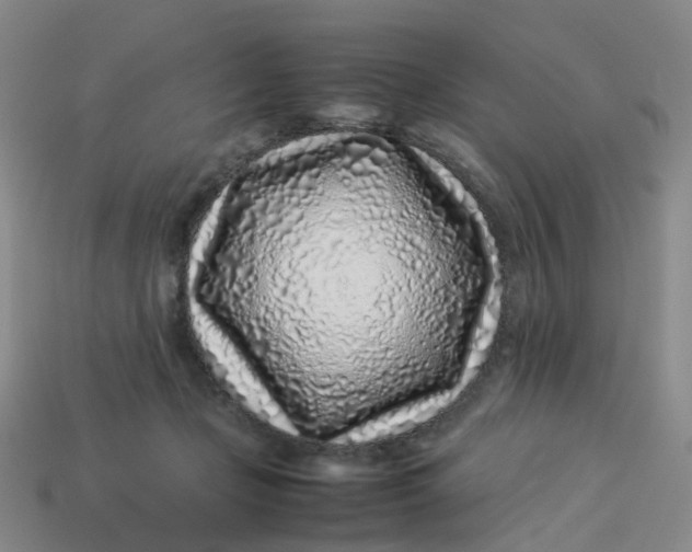 X0000113330365200910051151