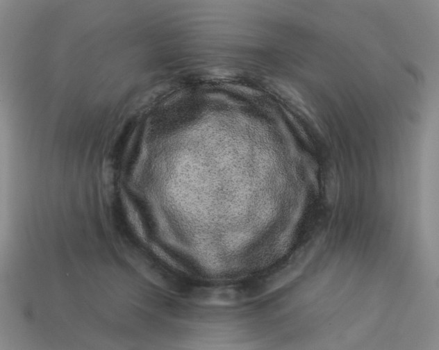 X0000113330366200910051151