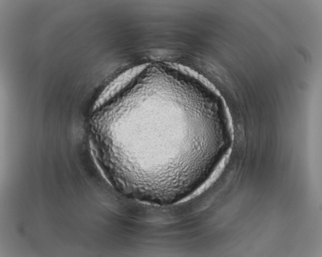X0000113330367200910051151