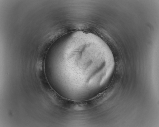 X0000113330368200910051151