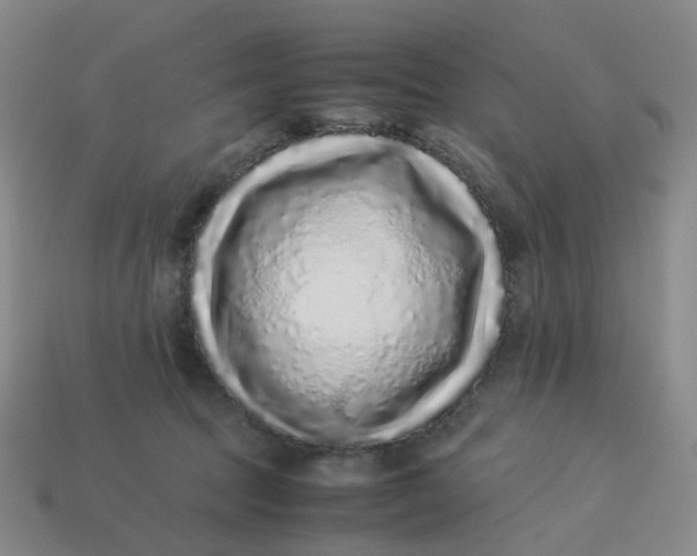 X0000113330369200910051151