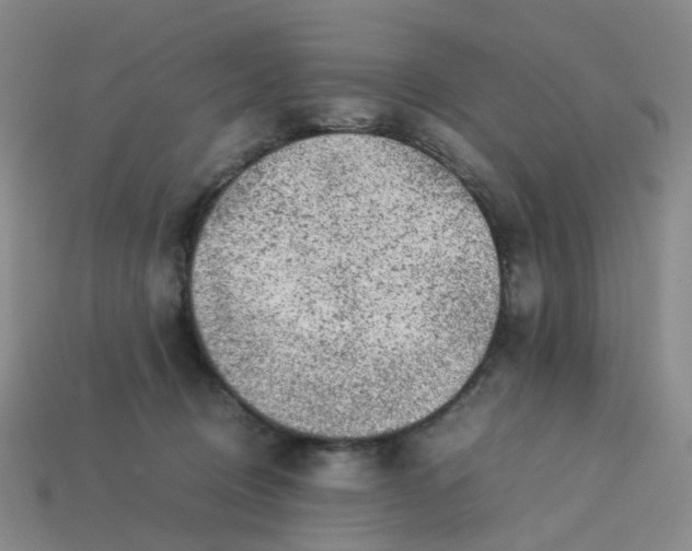 X0000113330370200910051151