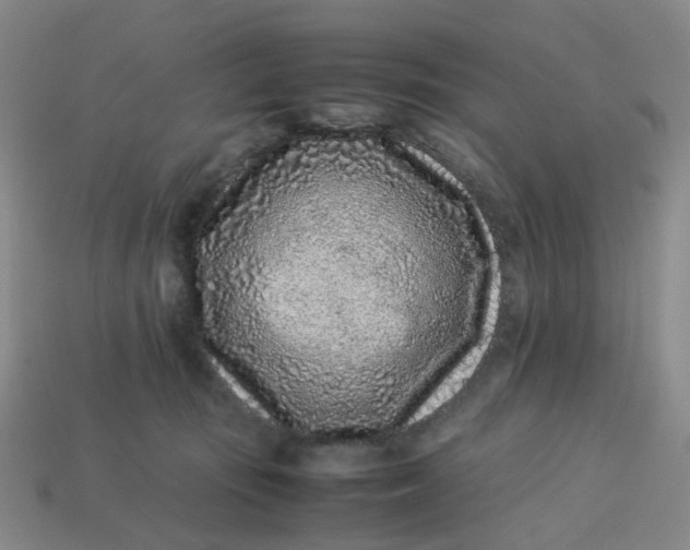 X0000113330371200910051151