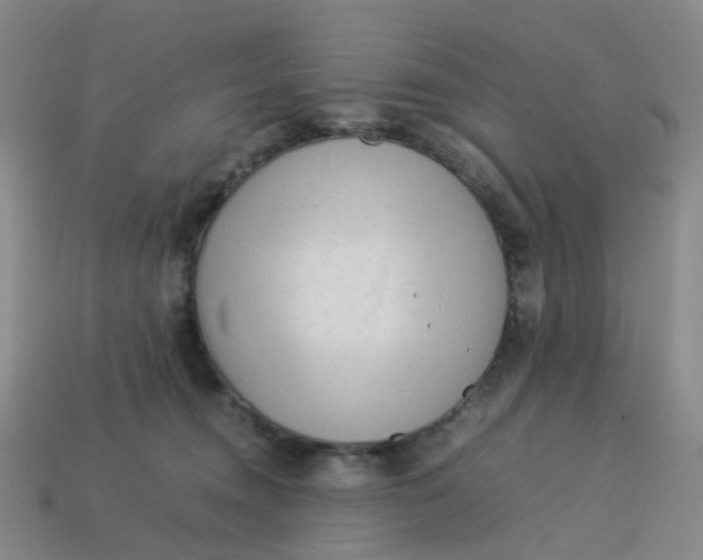 X0000113330372200910051151