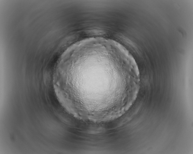X0000113330373200910051151
