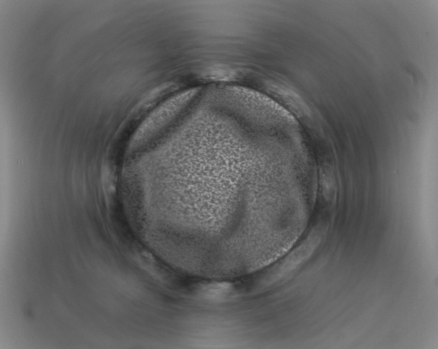 X0000113330374200910051151