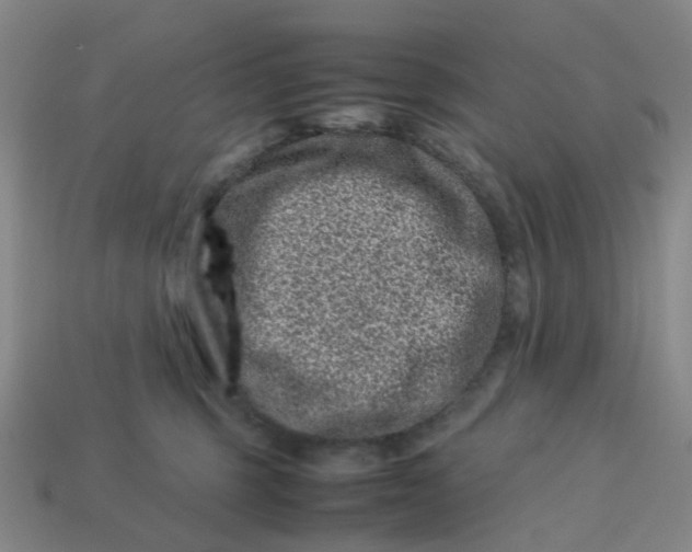 X0000113330375200910051151