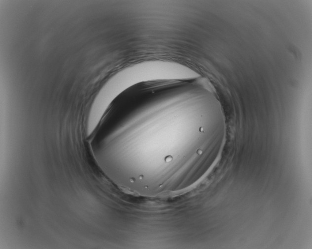 X0000113330376200910051151
