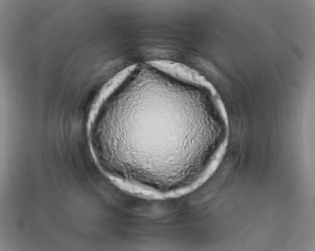 X0000113330377200910051151