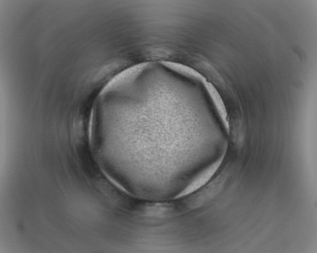 X0000113330378200910051151
