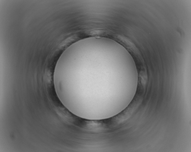 X0000113330380200910051151