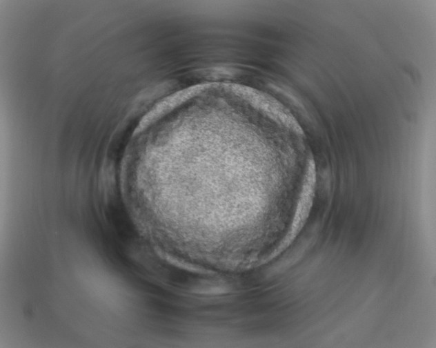 X0000113330381200910051151