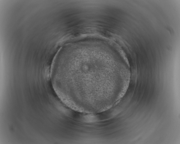 X0000113330383200910051151
