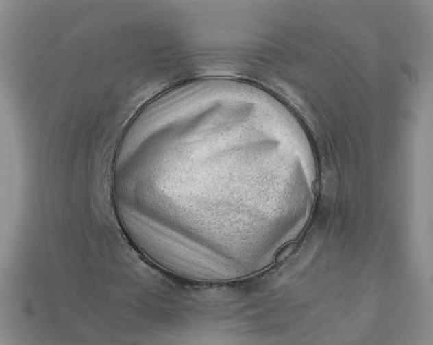 X0000113330385200910051150