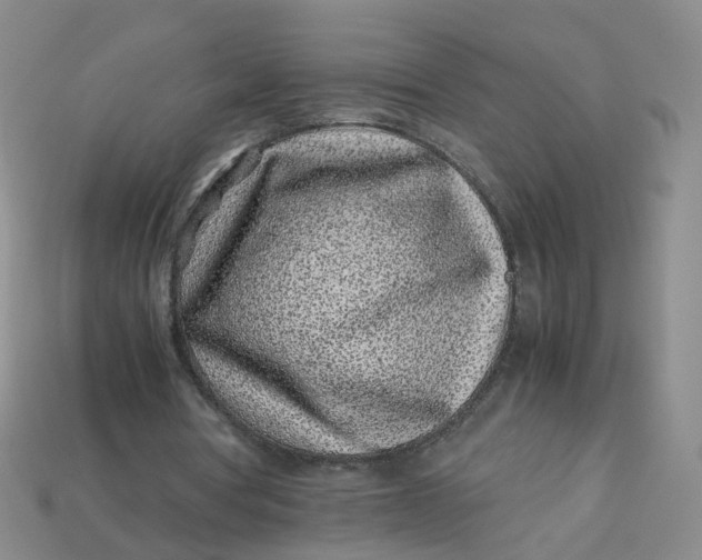 X0000113330386200910051150