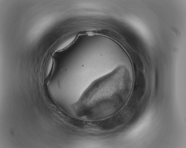 X0000113330387200910051150