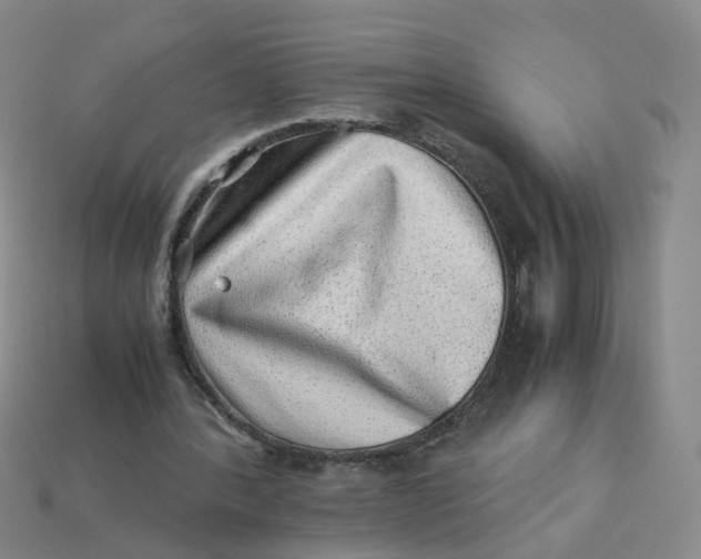 X0000113330388200910051150