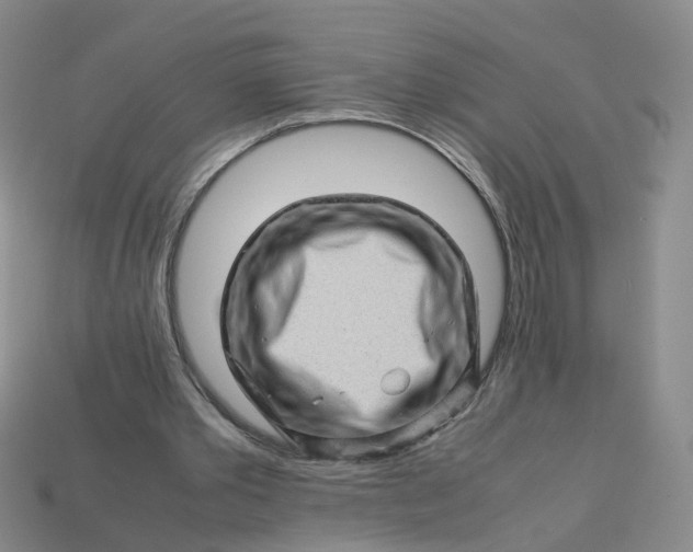 X0000113330389200910051150