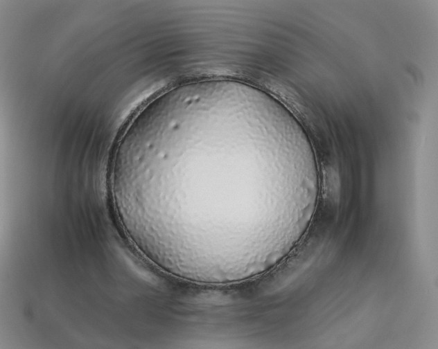 X0000113330390200910051150